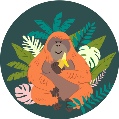 PutraJuneOrangutanMonth1